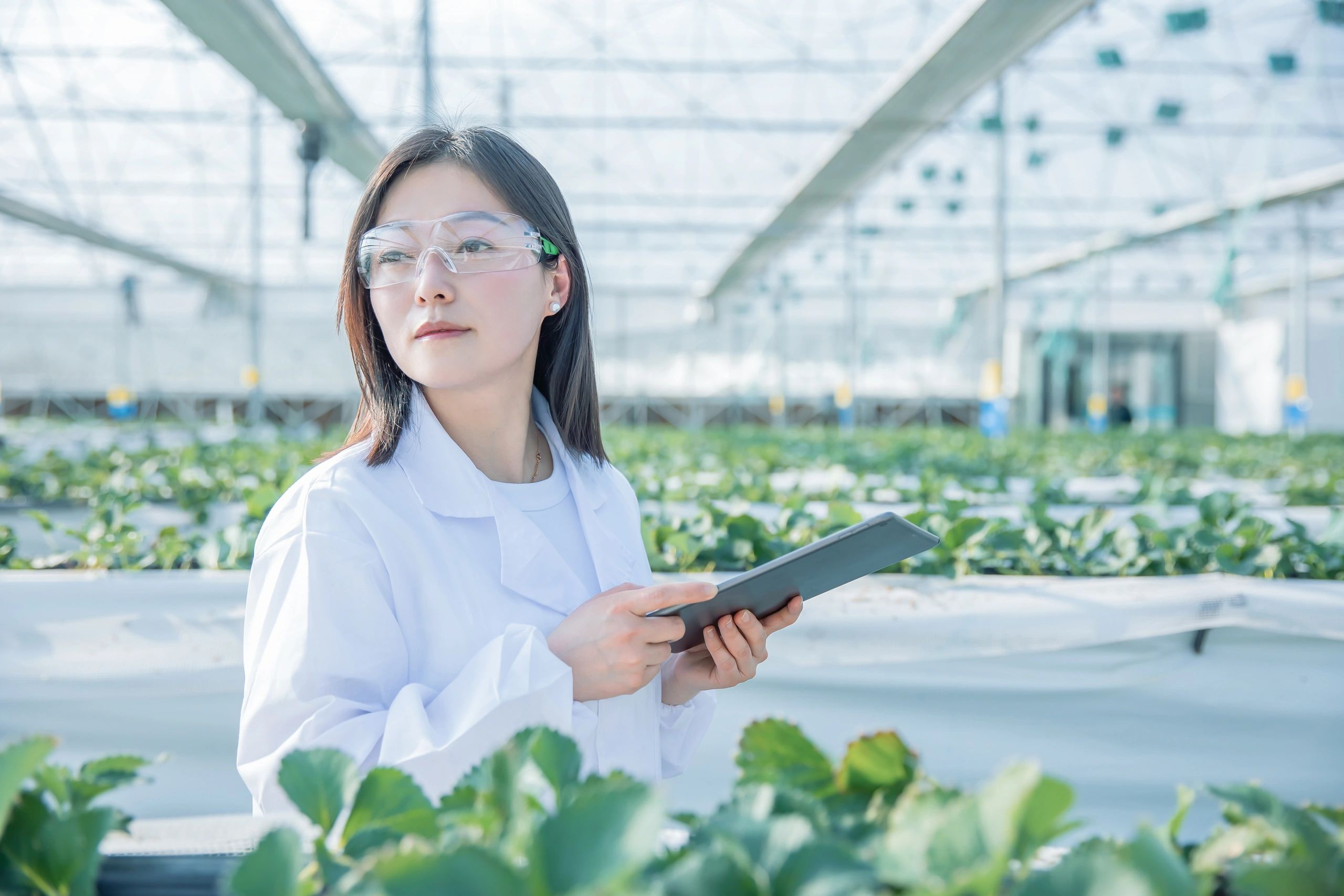 AI precision farming